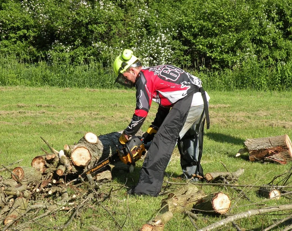 placeholder Illustration accompanying Introduction to Chainsaw Protective Gear: Why It Matters