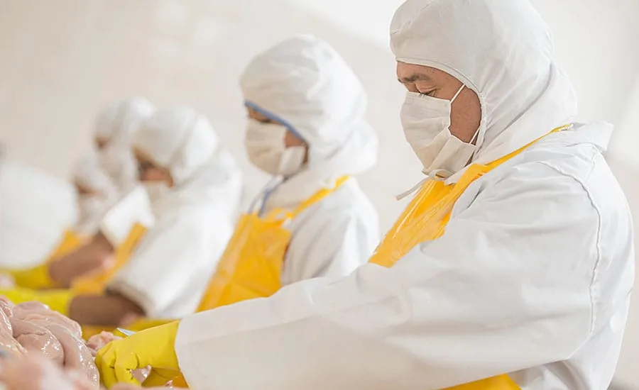 placeholder Illustration accompanying Food Processing Industry Workwear: Hygiene and Cold Room Protection
