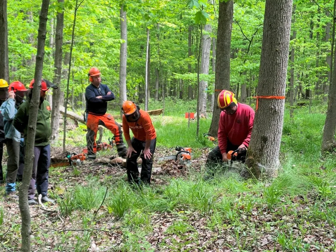 placeholder Illustration accompanying How to Maintain and Inspect Chainsaw Protective Gear