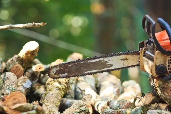 placeholder Illustration accompanying EN ISO 11393 and ASTM Standards for Chainsaw PPE